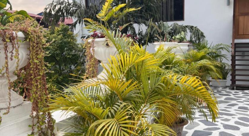 Hotel Club Denovo Butwal Exterior foto